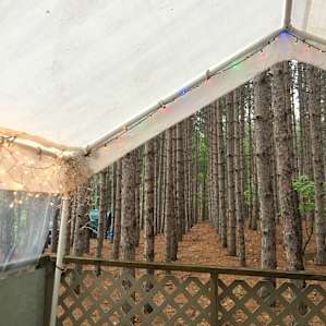 Great tree cover and shelter for rainy days.
