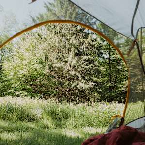Great view from your tent no matter where you are. Beautiful trees swaying in the wind!