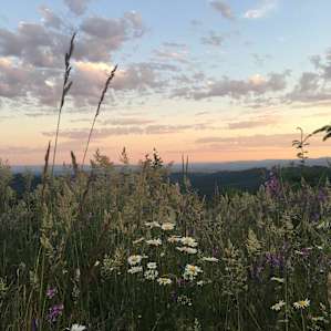 Above the Willamette Valley