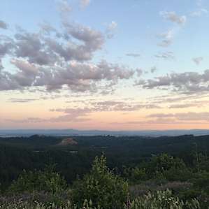Above the Willamette Valley