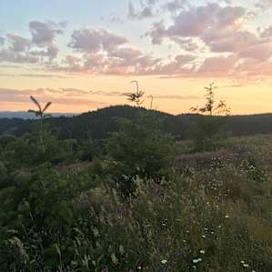 Above the Willamette Valley