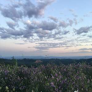 Above the Willamette Valley