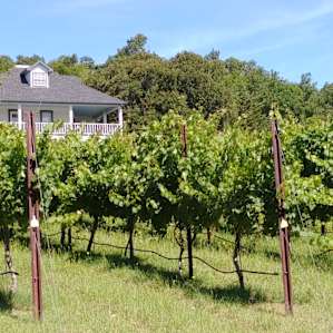 Next time I'm staying for the wine tasting!