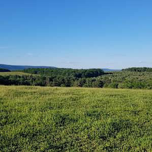 View from the gate between pastures