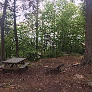 Campsite 40 looking northeast