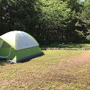 Plenty of open flat surface for tents.