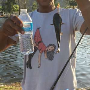 Southern California's Fishing Camp