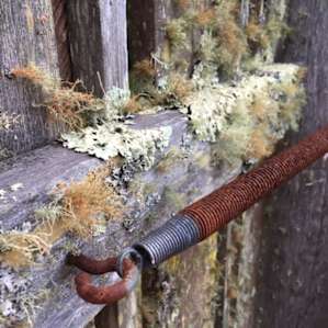 Lots of mossy oak and rustic features on site!