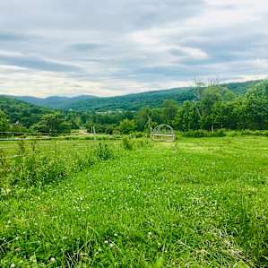 Morning walk on the farm