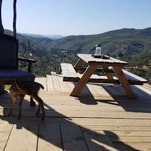 View from the communal living room, plus Fenn the fawn
