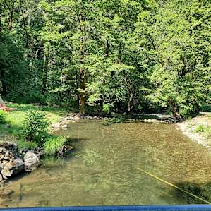 #5 Private Camping along Creek