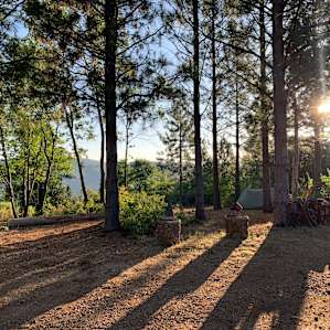 Artist Community in The Forest