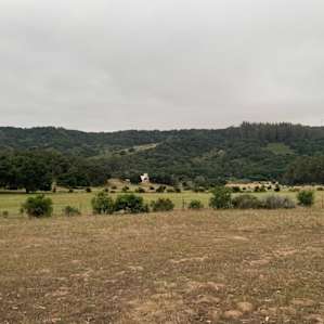 The view from the top of the hill.
