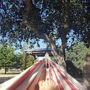 view from hammock...