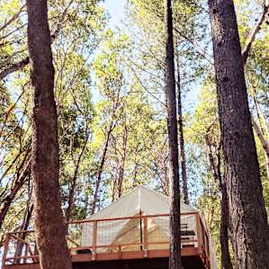 Madrone Ridge Tent 1