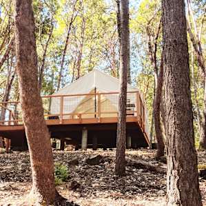 Madrone Ridge Tent 1