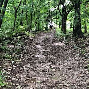 A Central Illinois Paradise