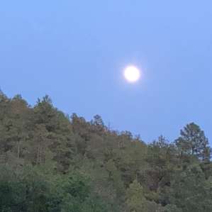 The Camp@Cloudcroft -Tent Sites