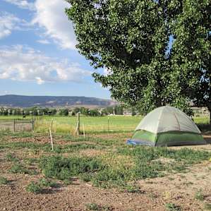 Colorado National Monument in the background