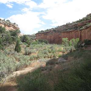 Mcdonald Creek Canyon. A small part of Rabbit Valley