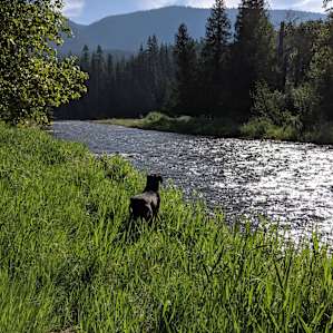 River front property, down by the campsite, the doggies loved it!!!