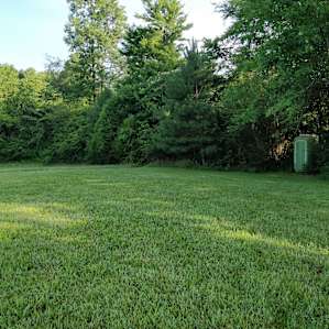 The Meadow Campsite