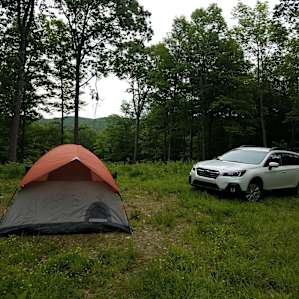 Green Mountain Homestead Getaway