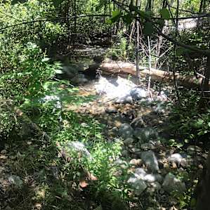 West Fork River.