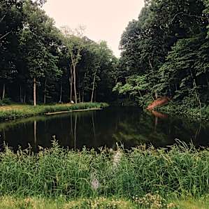 A Central Illinois Paradise