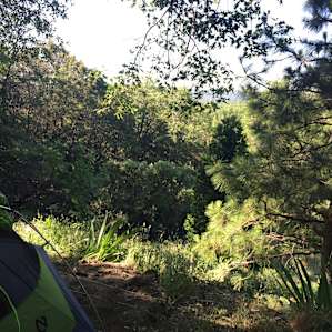 The views out the tent were great!