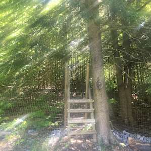This is the ladder for the bathroom, you climb this and then up the hill is an open toilet. You have some coverage from the trees.