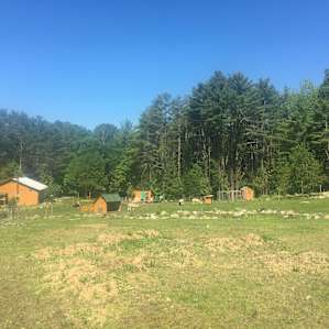Vermont Farm Animal Rescue