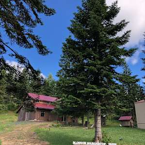 Mountaintop Paradise Campsite