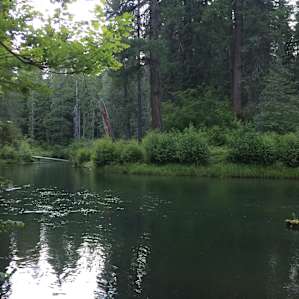 Union Creek Campground