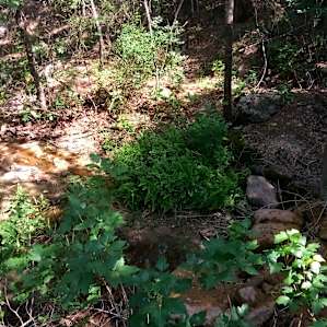 Secluded Lago Vista Tent Camping