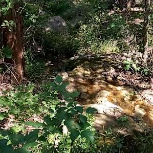 Secluded Lago Vista Tent Camping
