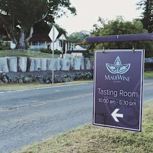 The only winery on the property is two miles down the curvy country road. Come back to camp in the late afternoon and enjoy a glass or two!