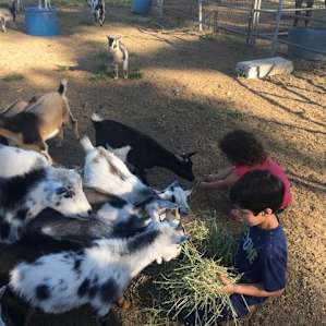 Feeding time.