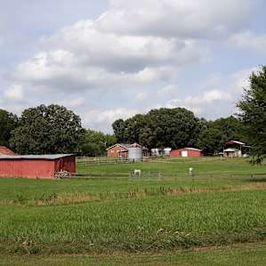 The farm