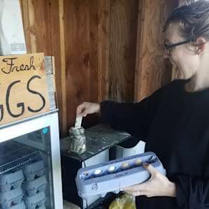 Fresh eggs to take home!