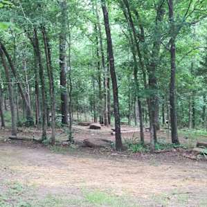 Another view of several other campsites