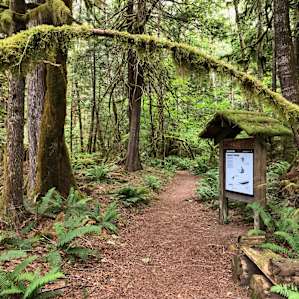 River Loop Trail