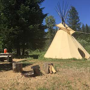 Wild Rose Tipi
