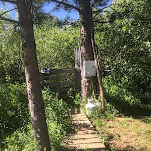 Wild Rose Tipi