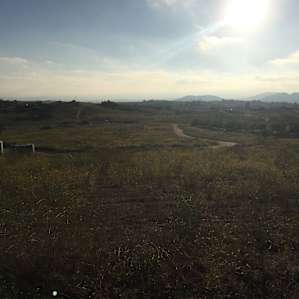 Valley Overview & Baby Goats (RV)