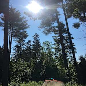 Beautiful morning!