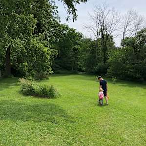 Walking back behind the houses to the creek.