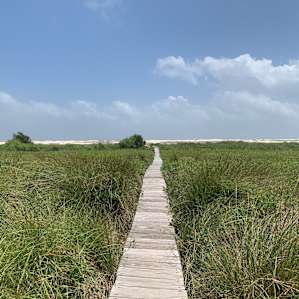 The walkway to the beach