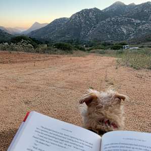 Beautiful sunsets, & perfectly quiet for catching up on some reading.