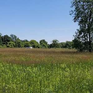 Looking back at the entrance off of the road